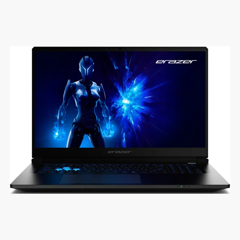 Medion Erazer Defender 17 P1 RTX 5060 (2025)