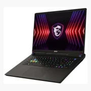 MSI Vector 17 HX A14V RTX 4080 (2024)
