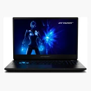 Medion Erazer Deputy 15 P1 RTX 5060 (2025)