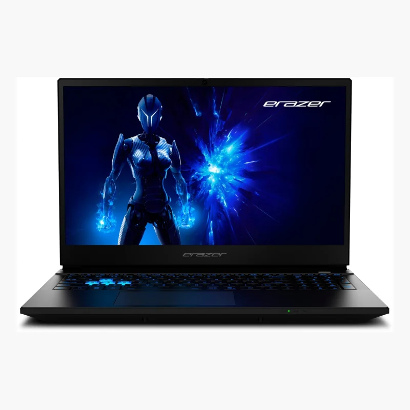 Medion Erazer Deputy 15 P1 RTX 5060 (2025)