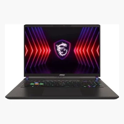 MSI Vector 17 HX RTX 4070 (2024)