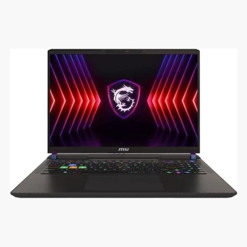 MSI Vector 17 HX RTX 4090 (2024)