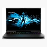 Medion Erazer Beast X40 RTX 4080 (2024)