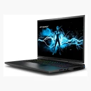 Medion Erazer Beast X40 RTX 4080 (2024)