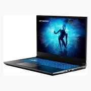 Medion Erazer Deputy P60 RTX 4060 (2024)