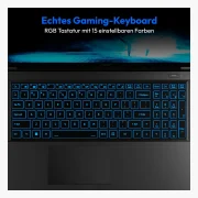 Medion Erazer Crawler E30 RTX 2050 (2022)
