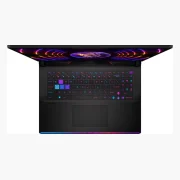 MSI Raider GE68 HX 14V RTX 4090 (2024)